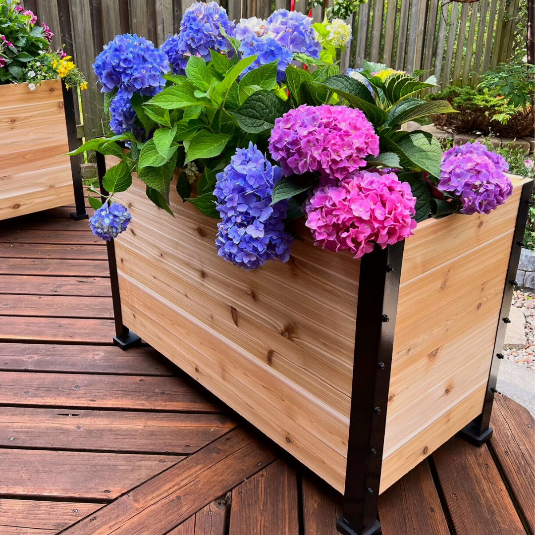 Raised Cedar Planter Box 18" x 36" x 24"