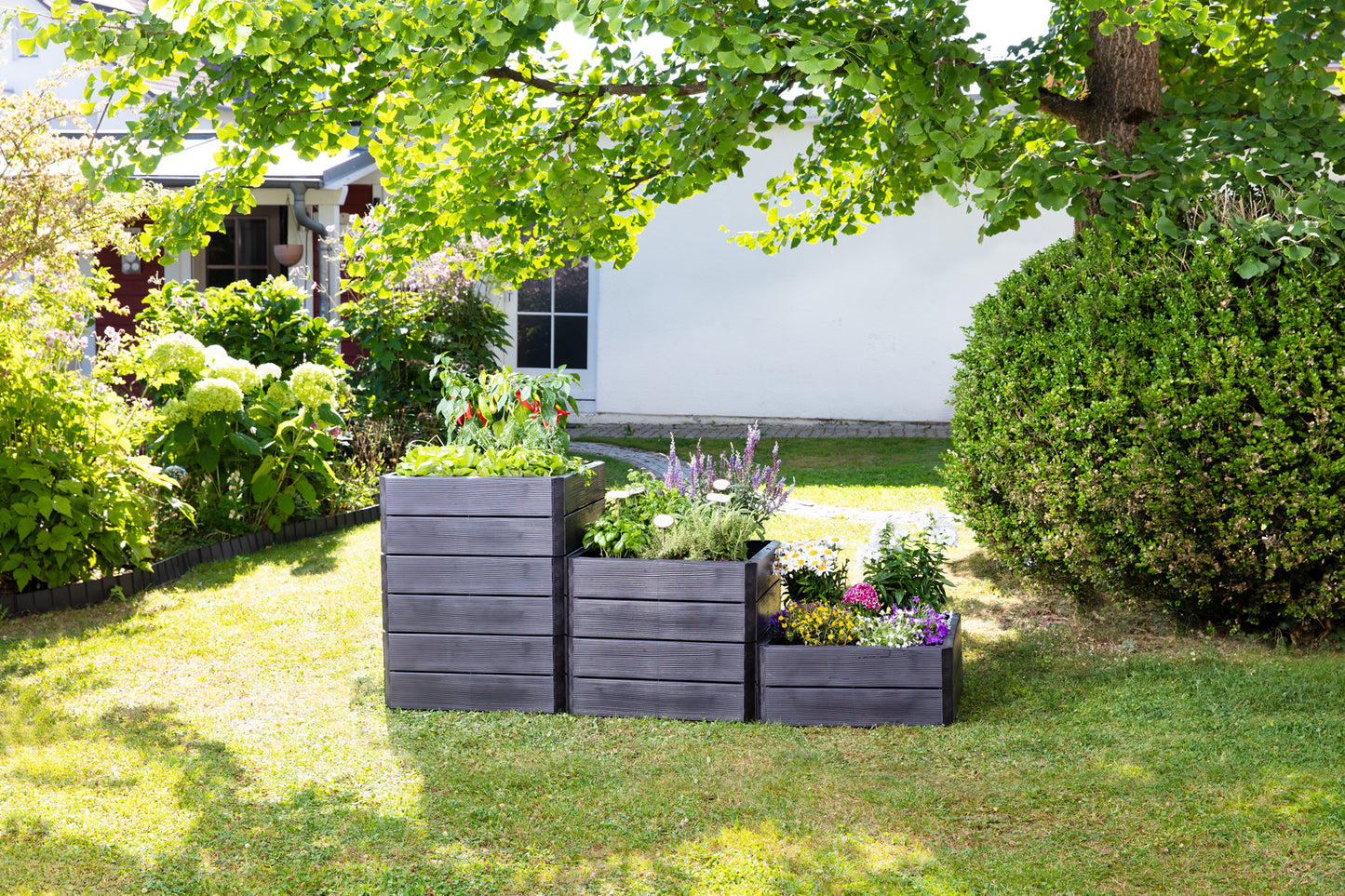 Raised Bed Garden Kit Rectangle