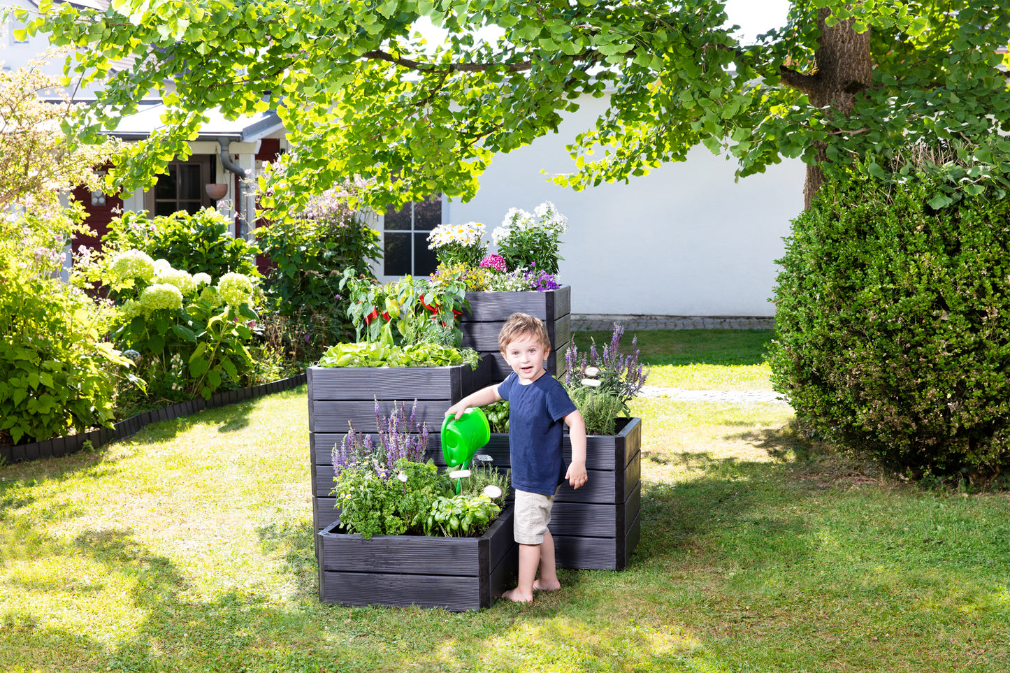 Raised Bed Garden Kit Rectangle