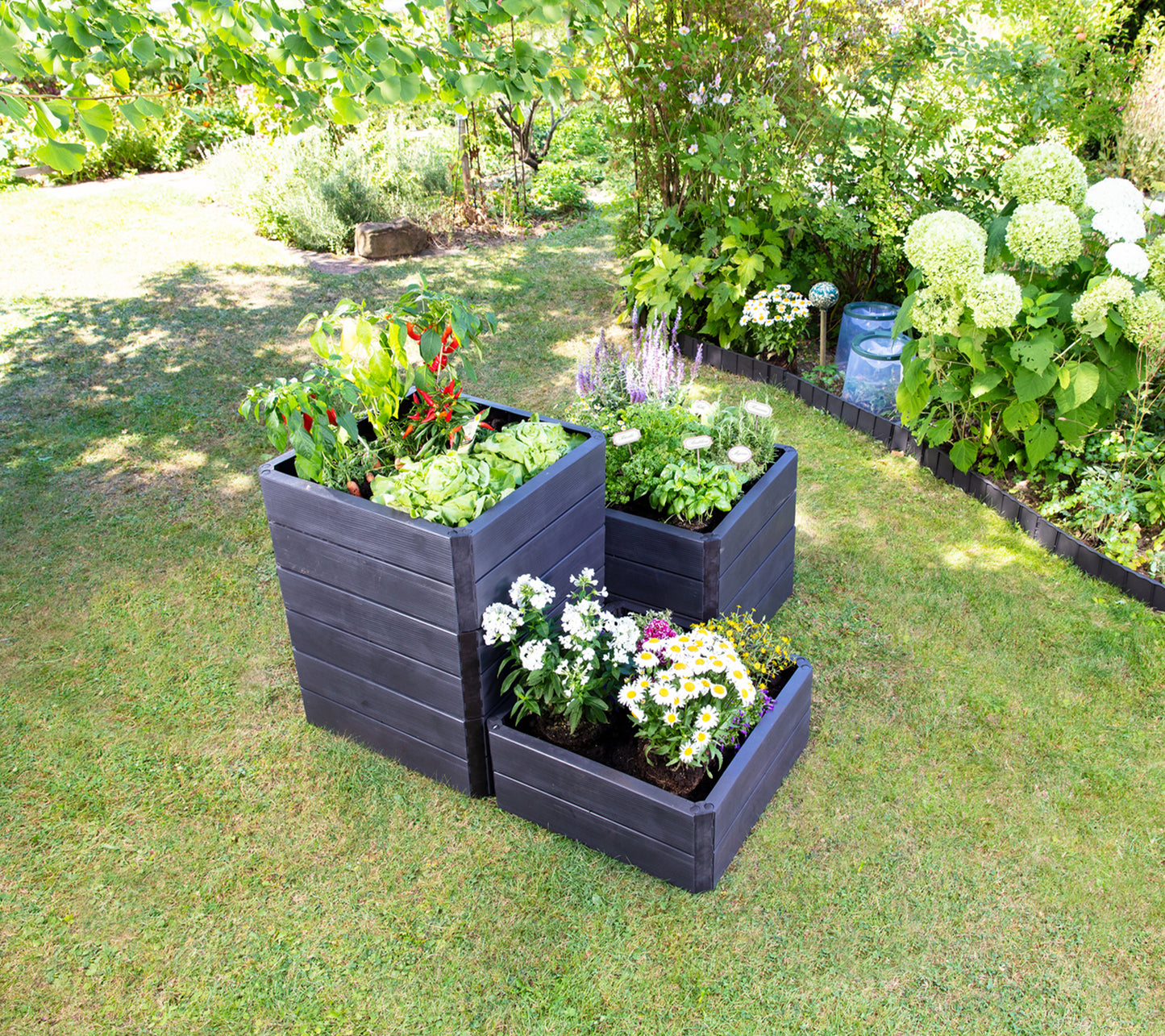 Raised Bed Garden Kit Rectangle