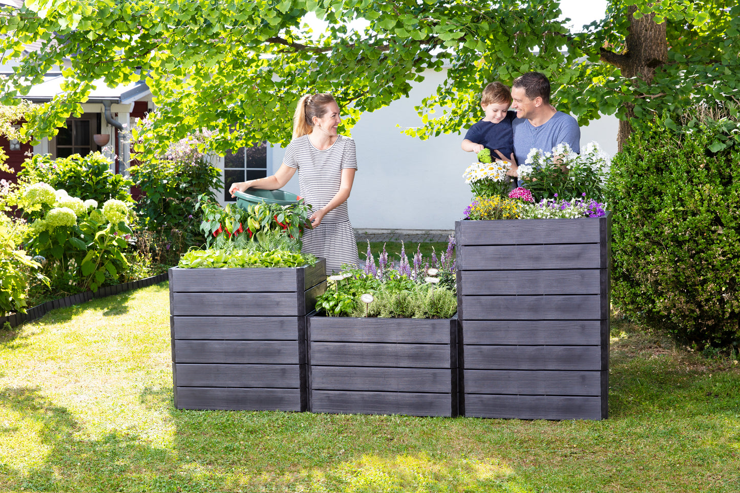 Raised Bed Garden Kit Rectangle