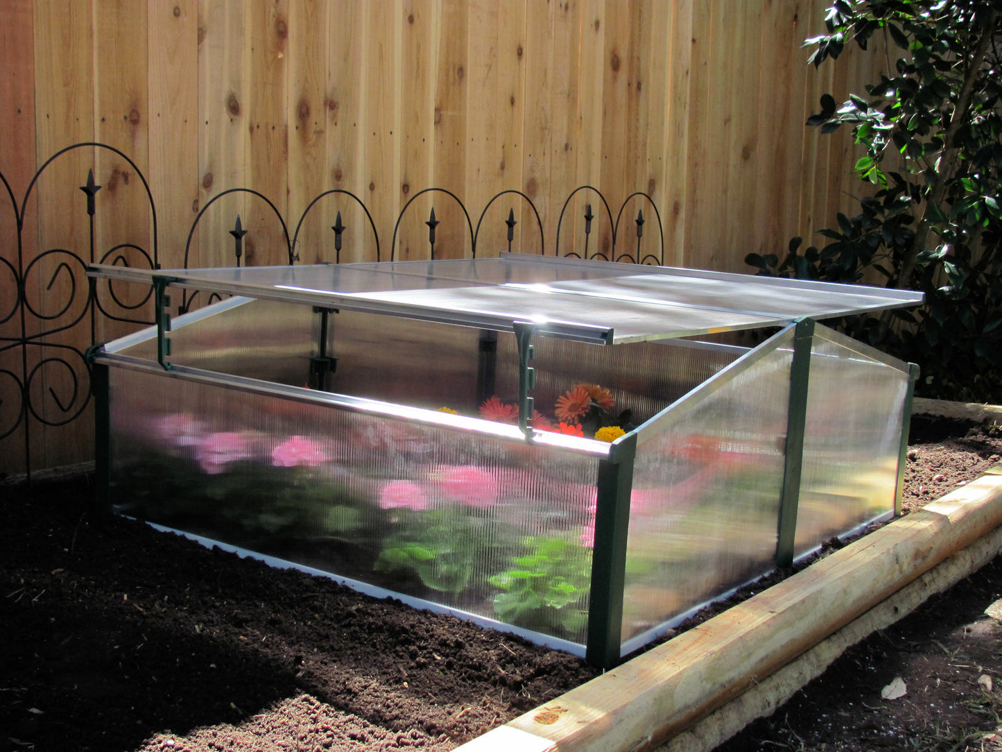 Juwel Double Cold Frame Greenhouse