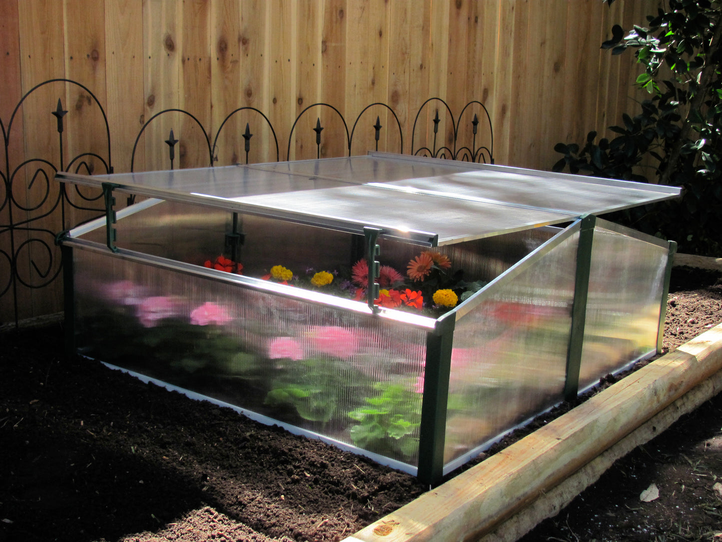 Juwel Double Cold Frame Greenhouse