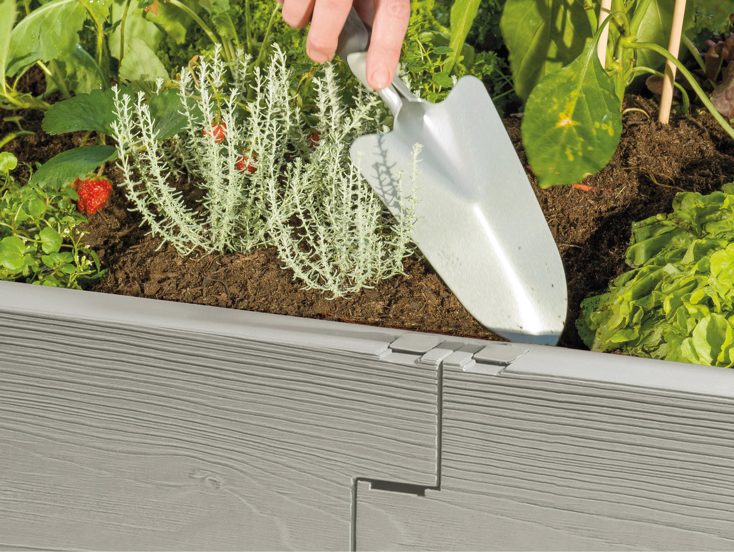 Juwel Mini-Greenhouse Cold Frame