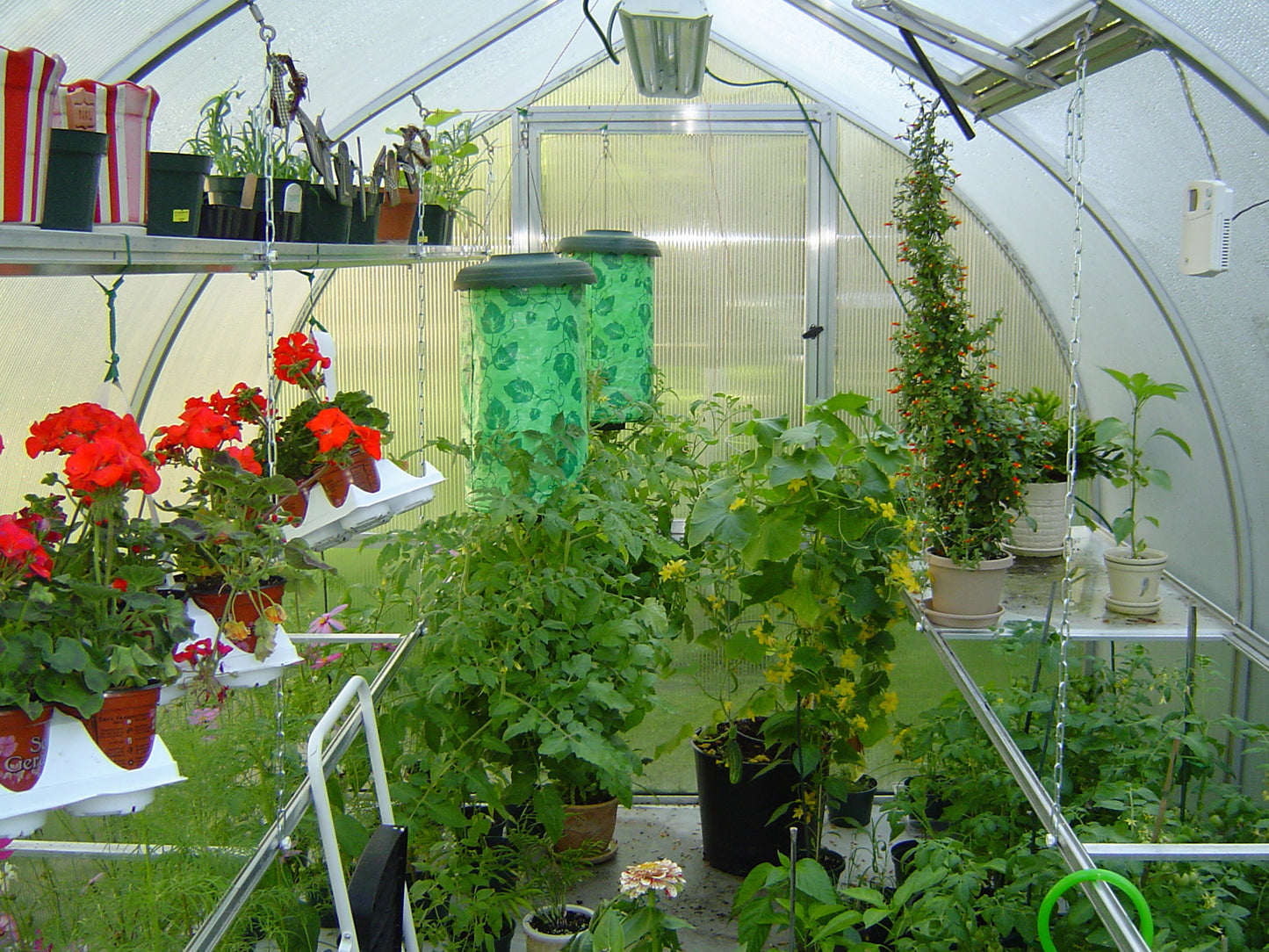 RIGA Small Polycarbonate Greenhouse
