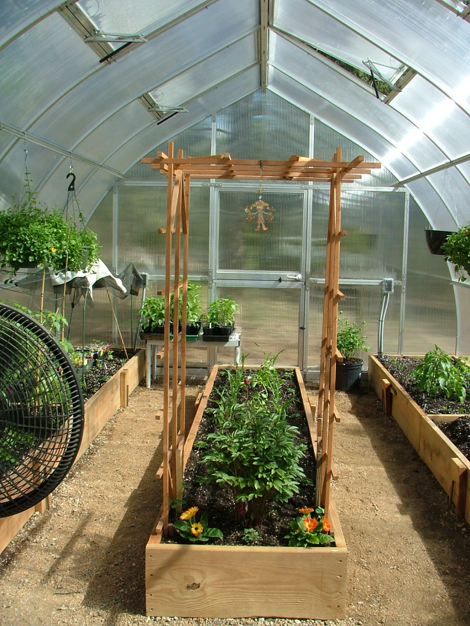 Exaco RIGA Extra Large Polycarbonate Greenhouse 16'5''x14'