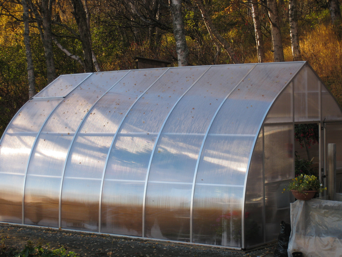 Exaco RIGA Extra Large Polycarbonate Greenhouse 16'5''x14'