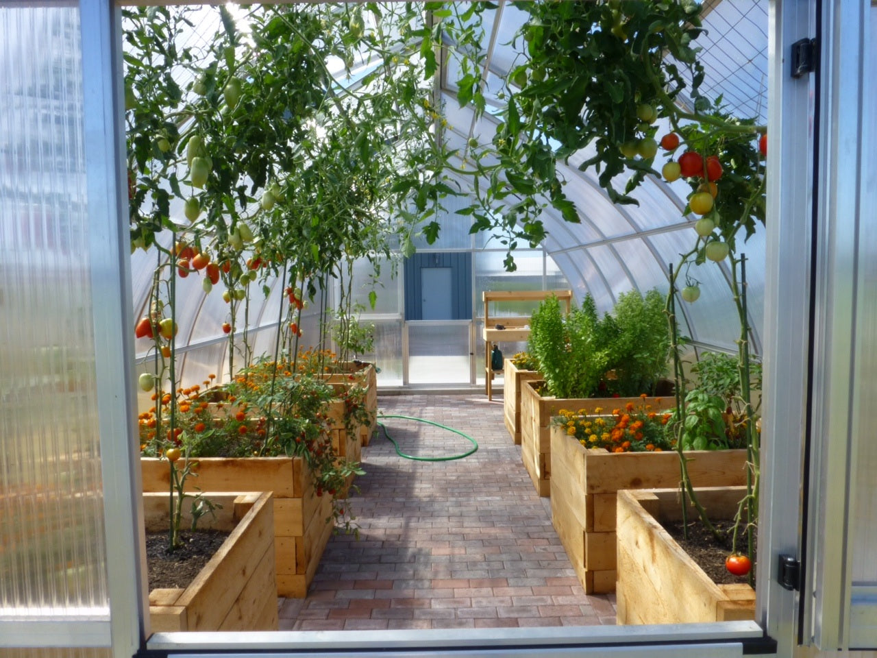 Exaco RIGA Extra Large Polycarbonate Greenhouse 16'5''x14'