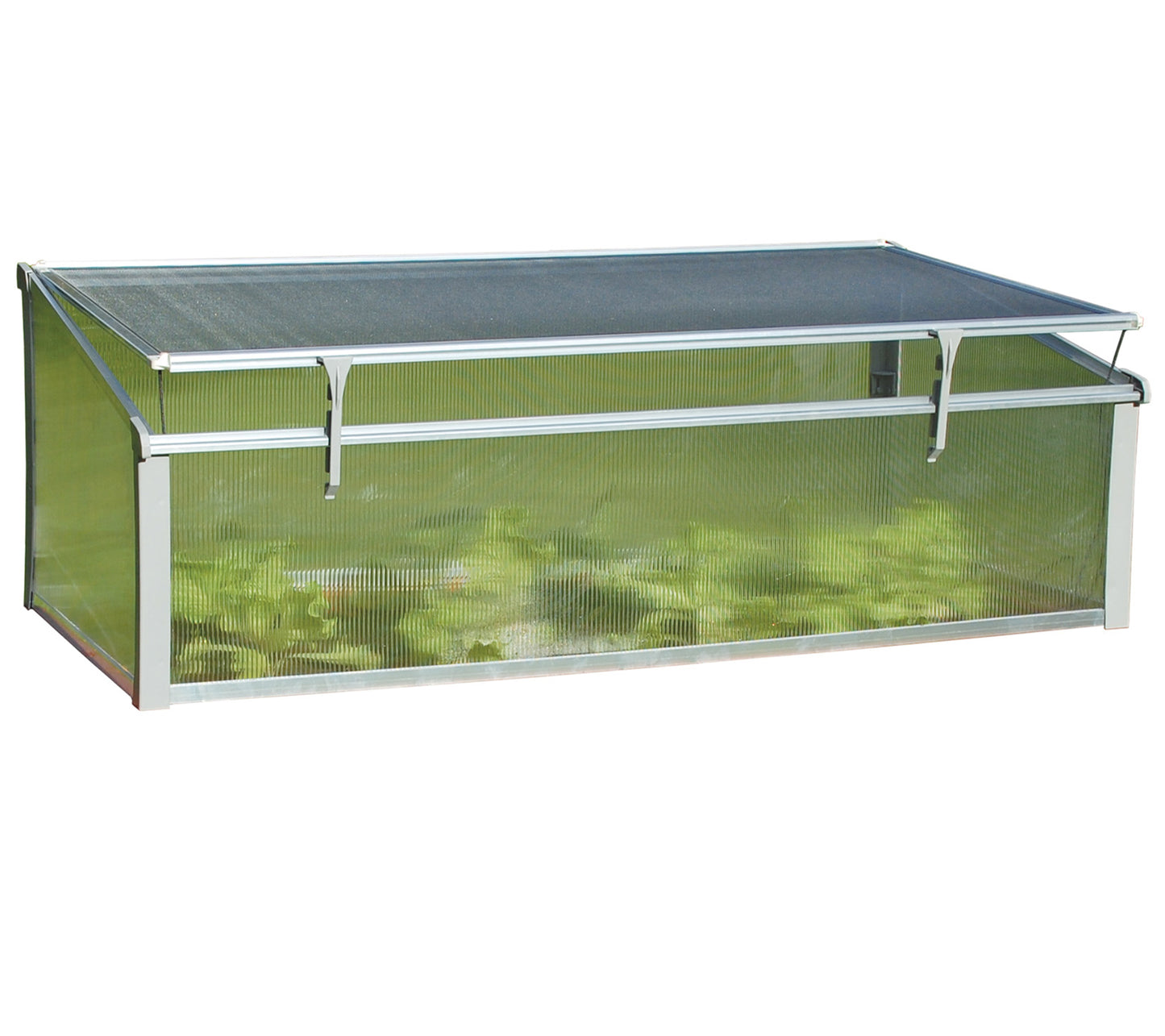 Juwel Polycarbonate Cold Frame