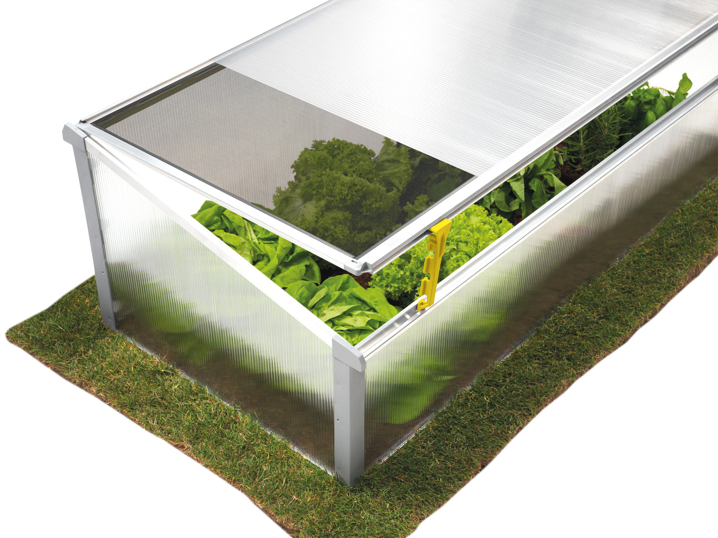 Juwel Polycarbonate Cold Frame
