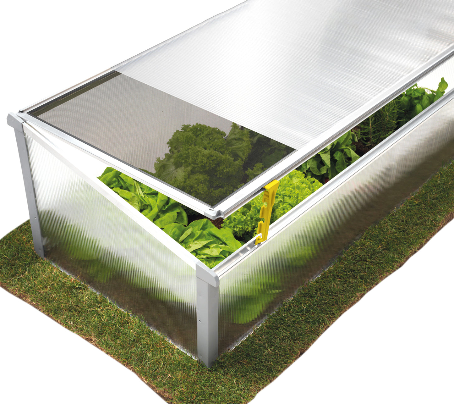 Juwel Polycarbonate Cold Frame