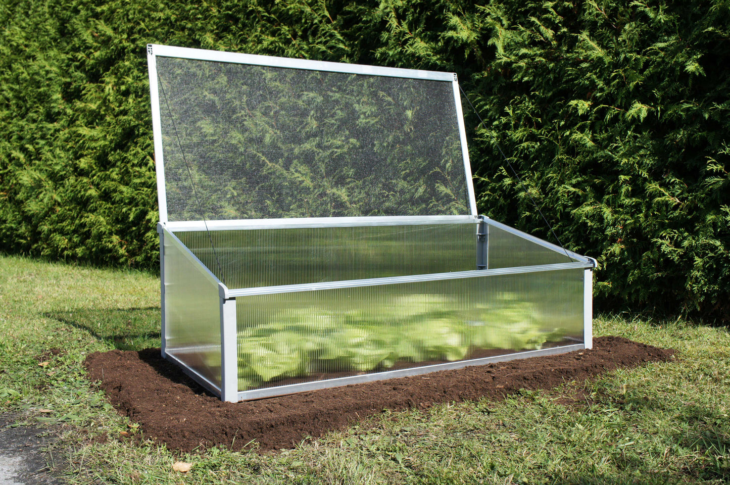Juwel Polycarbonate Cold Frame