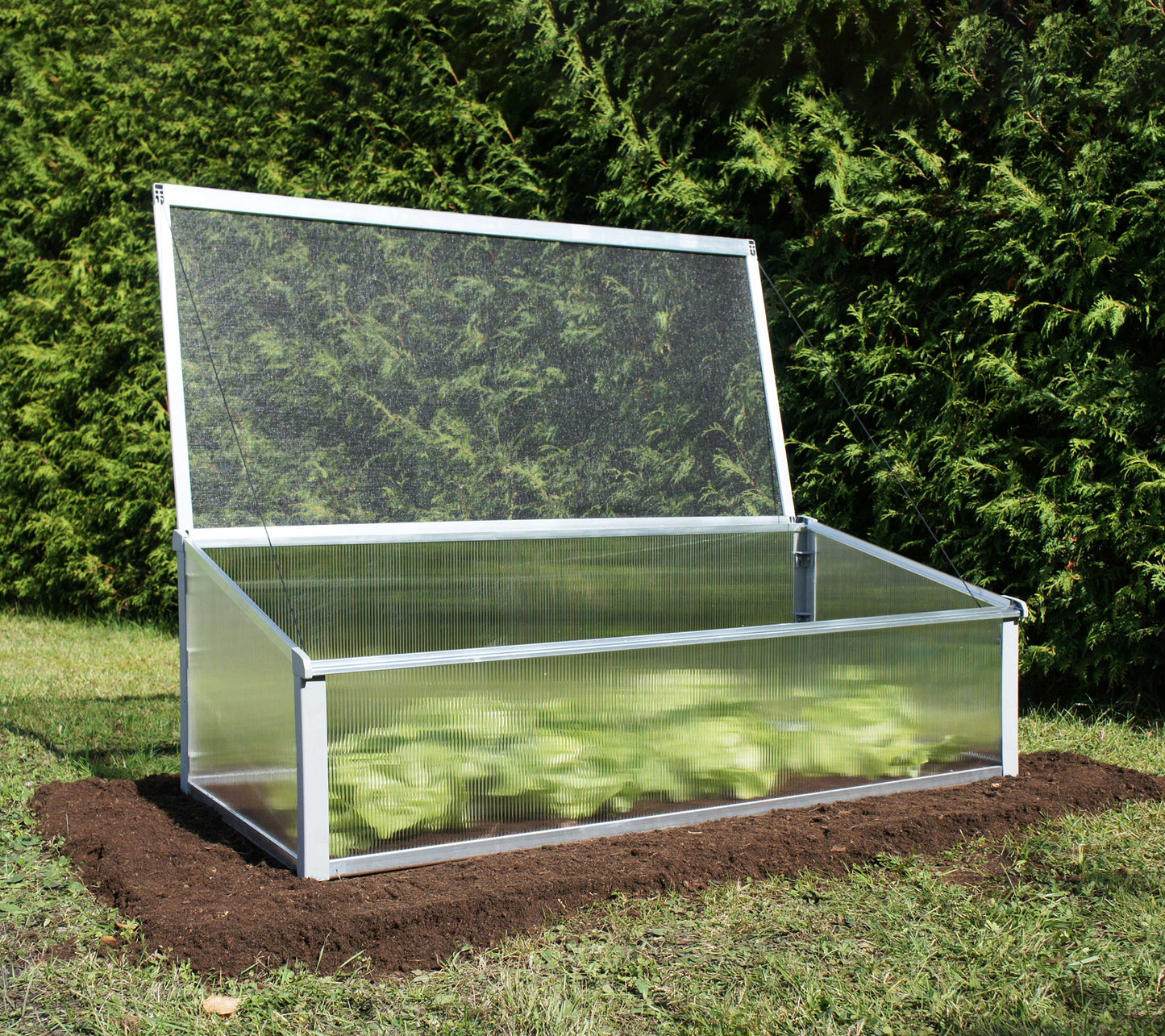 Juwel Polycarbonate Cold Frame