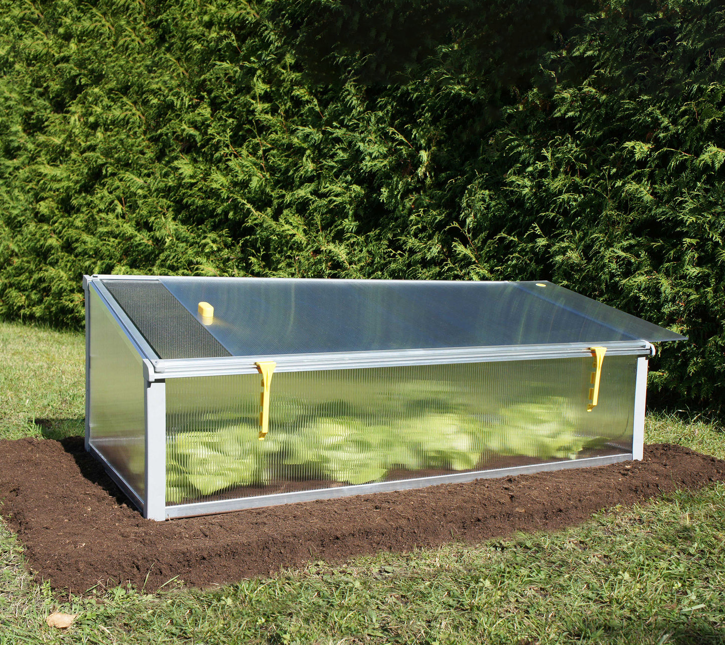 Juwel Polycarbonate Cold Frame