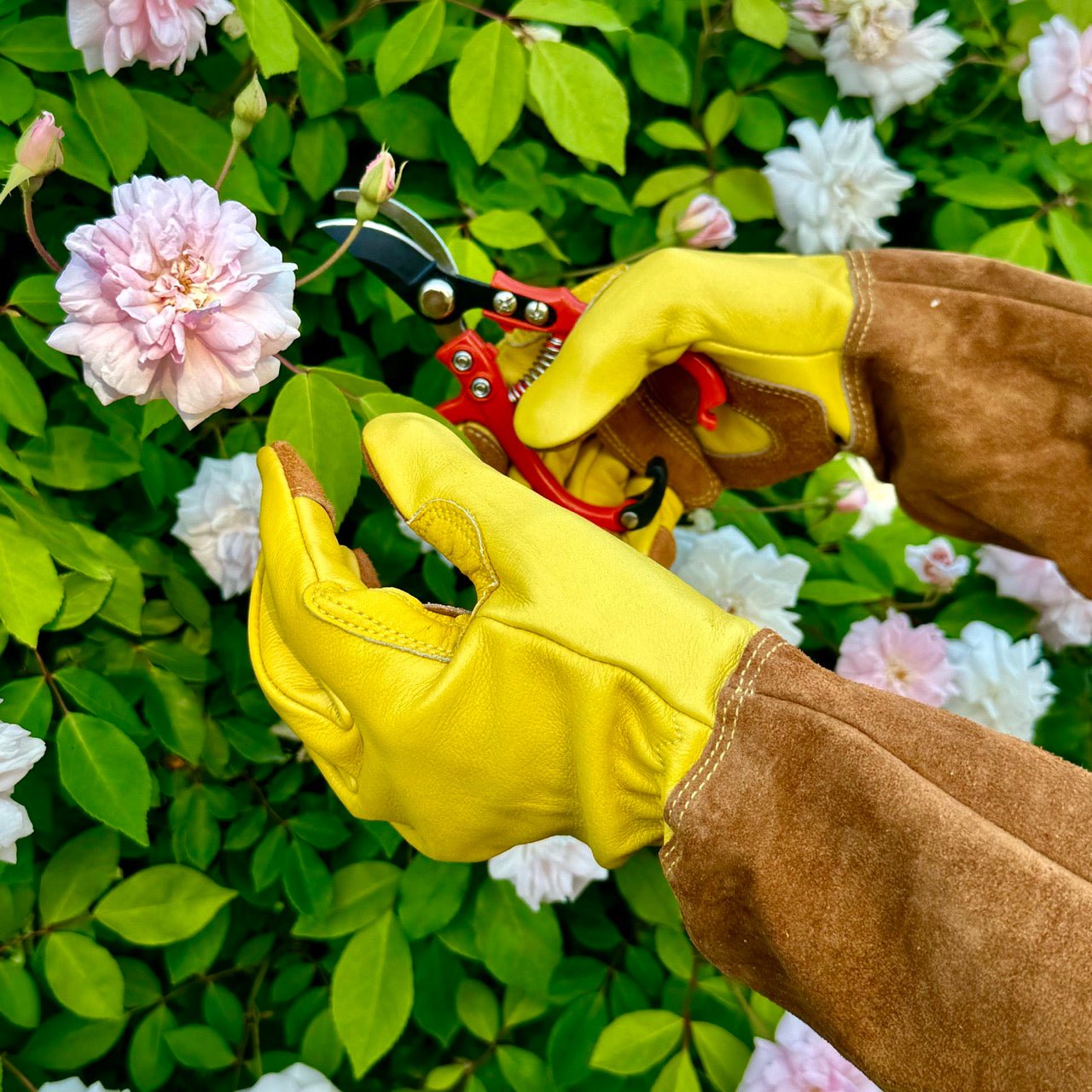 Rose Gardening Gloves