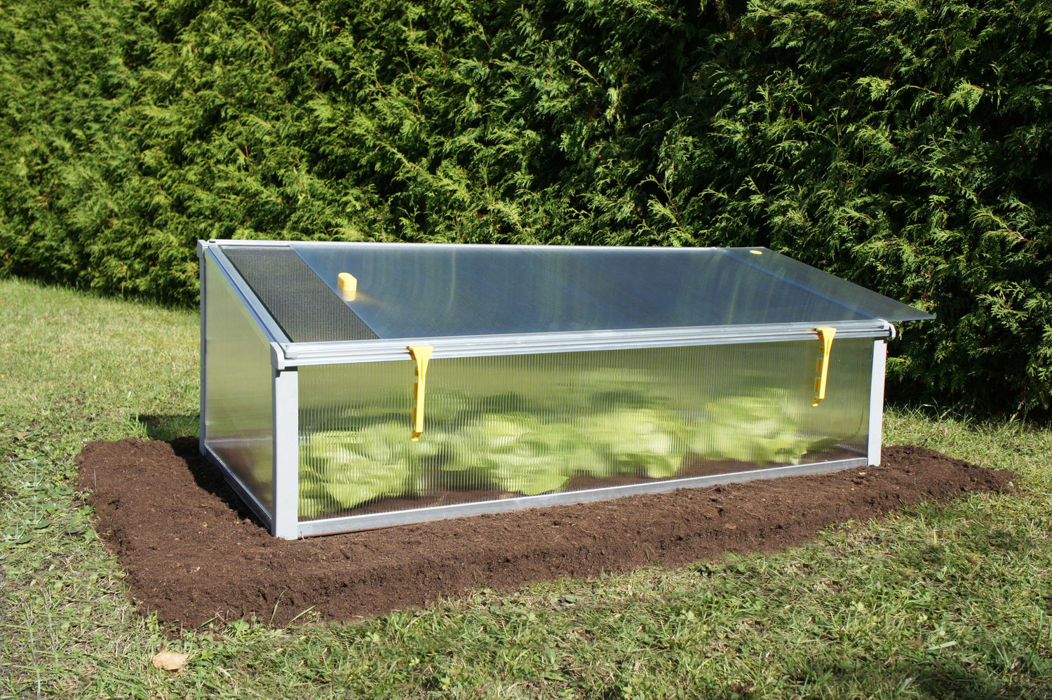 garden Cold Frame Exaco 