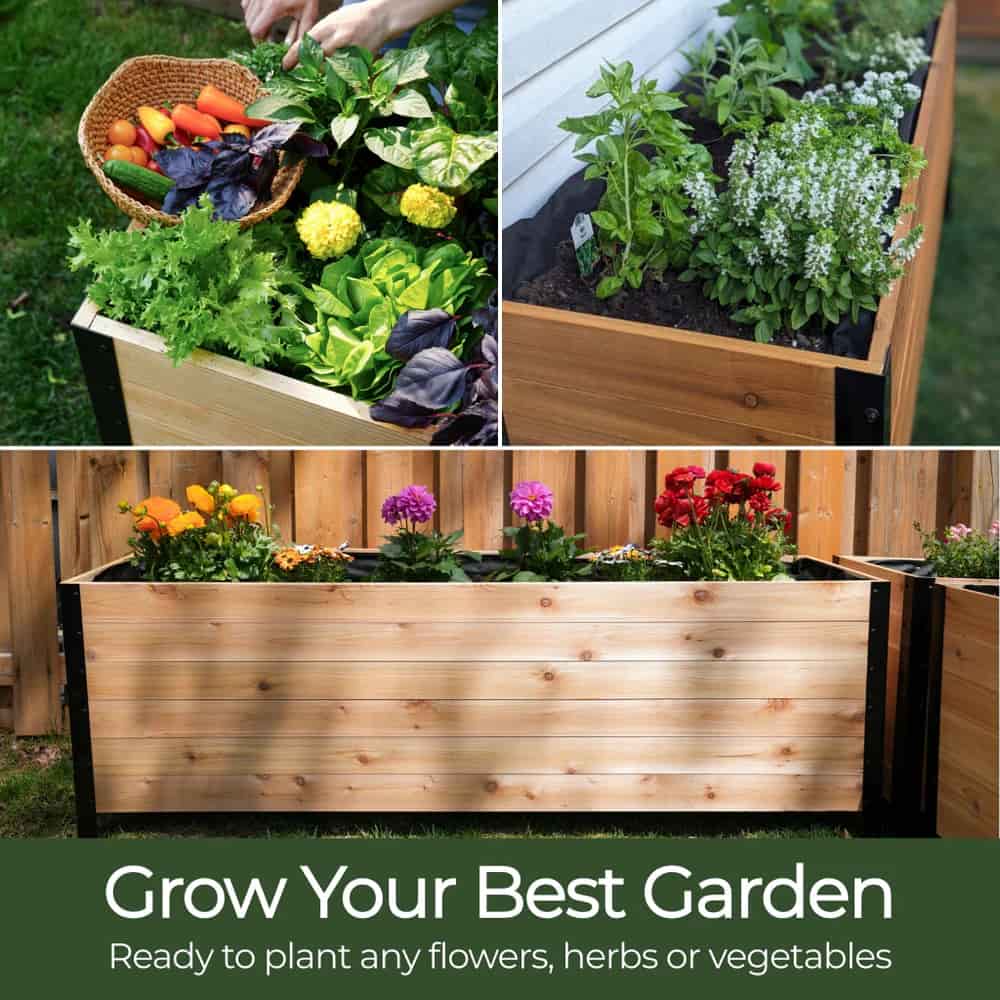 18" x 60" Planter Box - 24" TALL / Select Grade