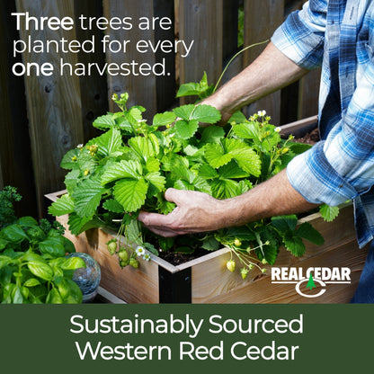 18" x 60" Planter Box - 24" TALL