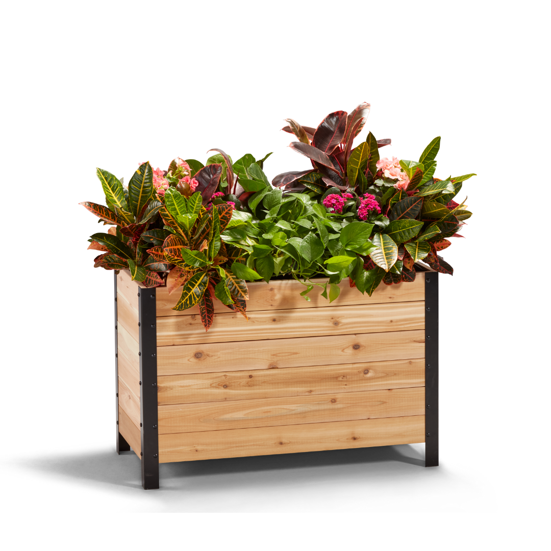wooden cedar planter box with flowers