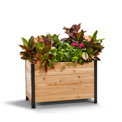 wooden cedar planter box with flowers