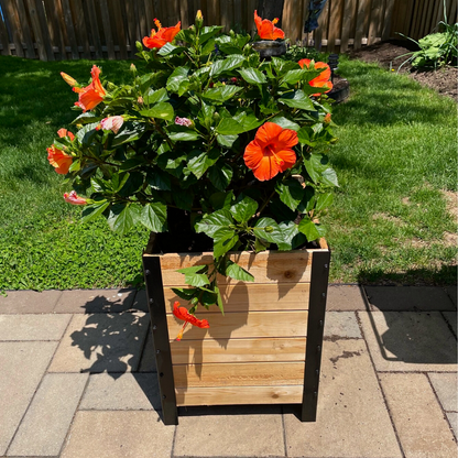 18″ x 18″ Planter Box - 24" TALL