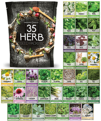 Popular Herb Seeds for Planting | 35 Variety Pack
