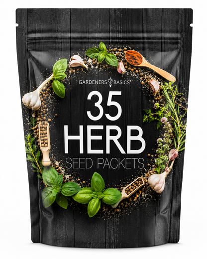Popular Herb Seeds for Planting | 35 Variety Pack