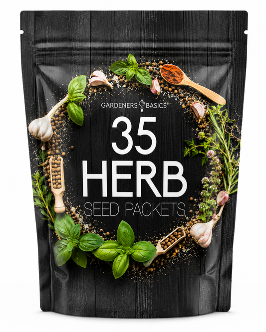 Popular Herb Seeds for Planting | 35 Variety Pack