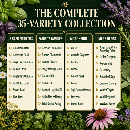 Popular Herb Seeds for Planting | 35 Variety Pack