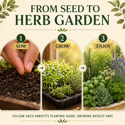 Popular Herb Seeds for Planting | 35 Variety Pack