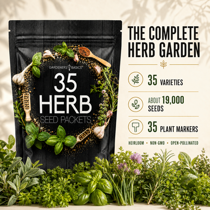 Popular Herb Seeds for Planting | 35 Variety Pack