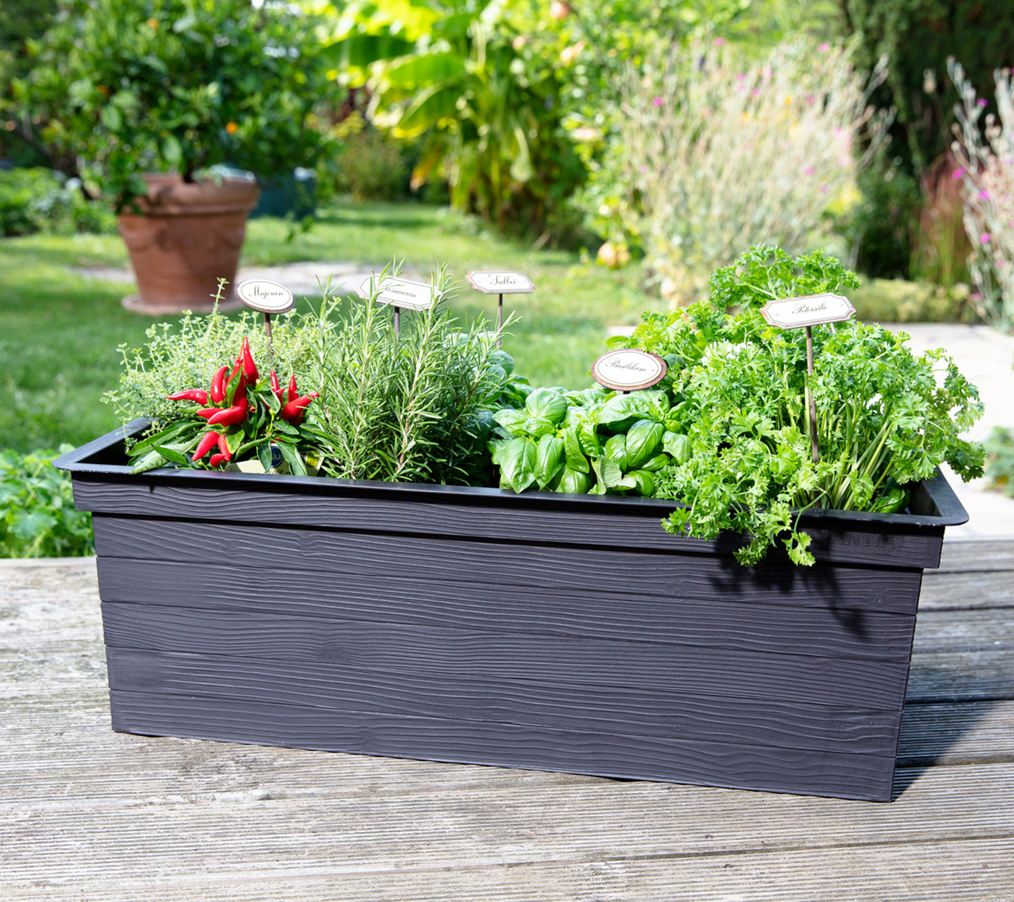 Elevated Raised Garden  Bed