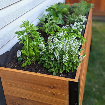 18" x 72" Planter Box - 24" TALL