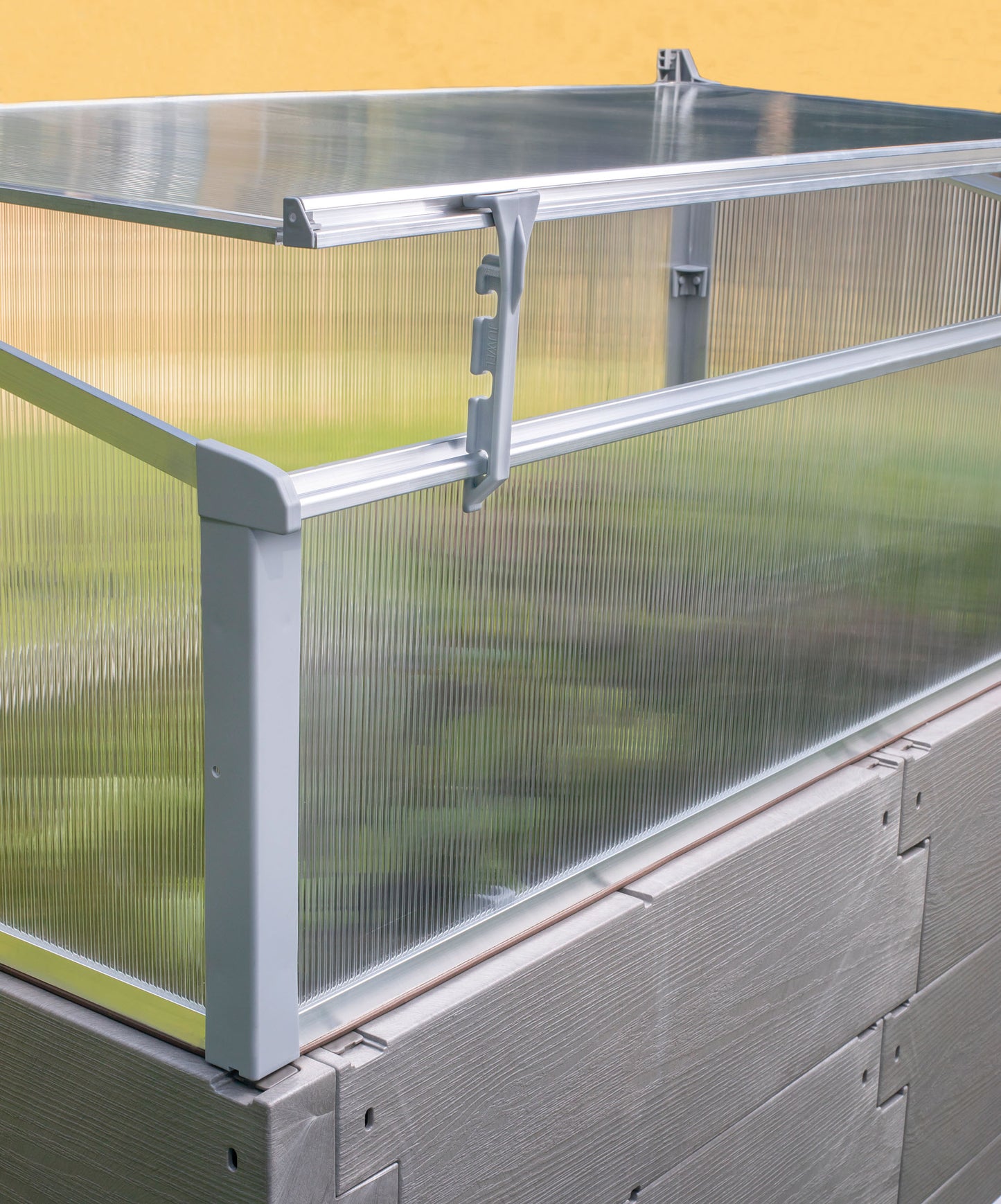 mini greenhouse in Denver, Colorado