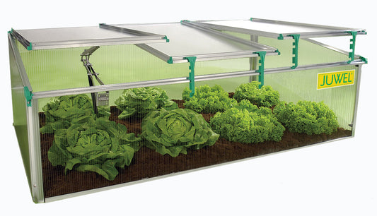 Exaco Juwel Cold frame