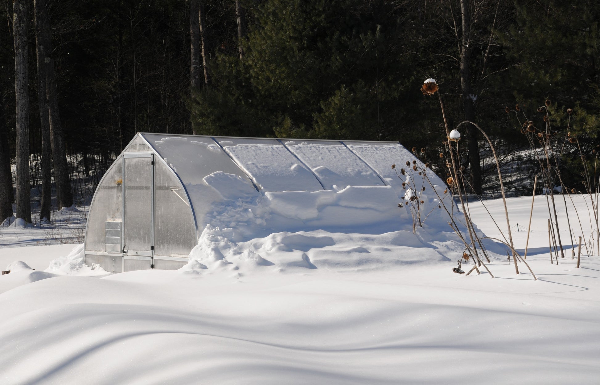 Riga 4 Polycarbonate Greenhouse with Snow