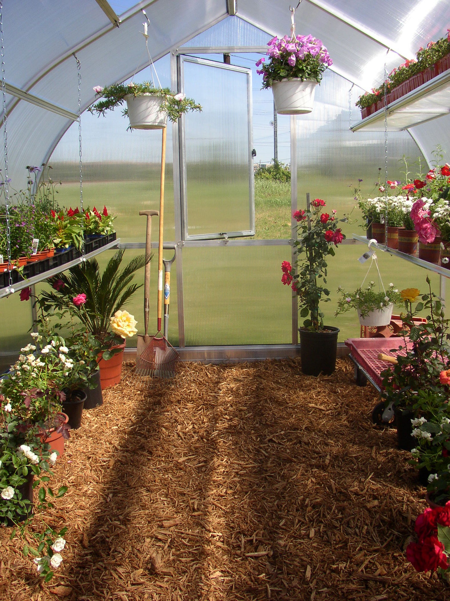 Riga 4 Polycarbonate Greenhouse Inside Door Open