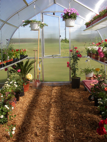 Riga 4 Polycarbonate Greenhouse Inside Door Open