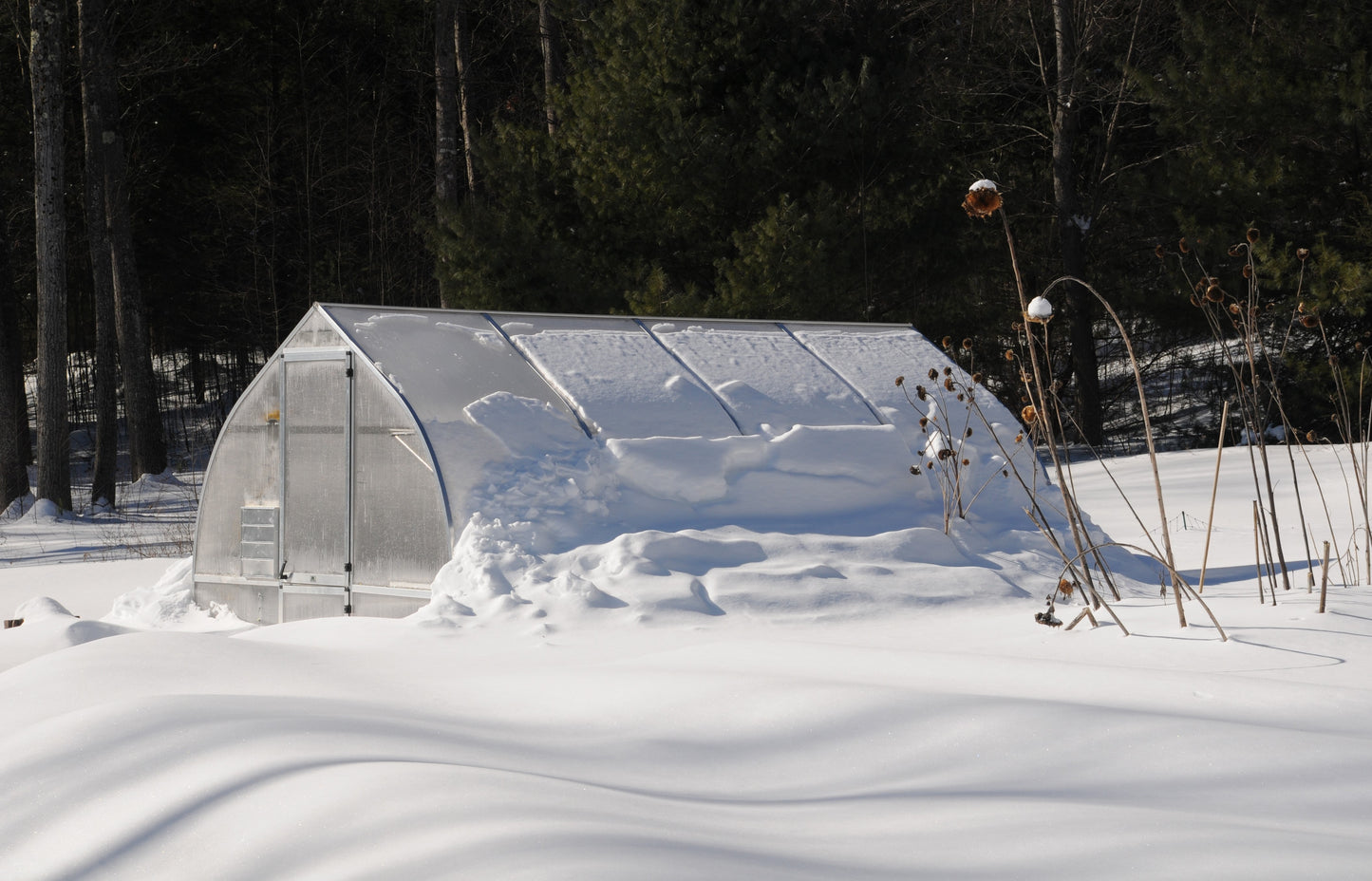 Riga 4 Large Polycarbonate Greenhouse with Snow