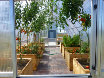 Exaco RIGA Extra Large Polycarbonate Greenhouse 16'5''x14'