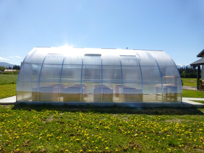 Exaco RIGA Extra Large Polycarbonate Greenhouse 16'5''x14'