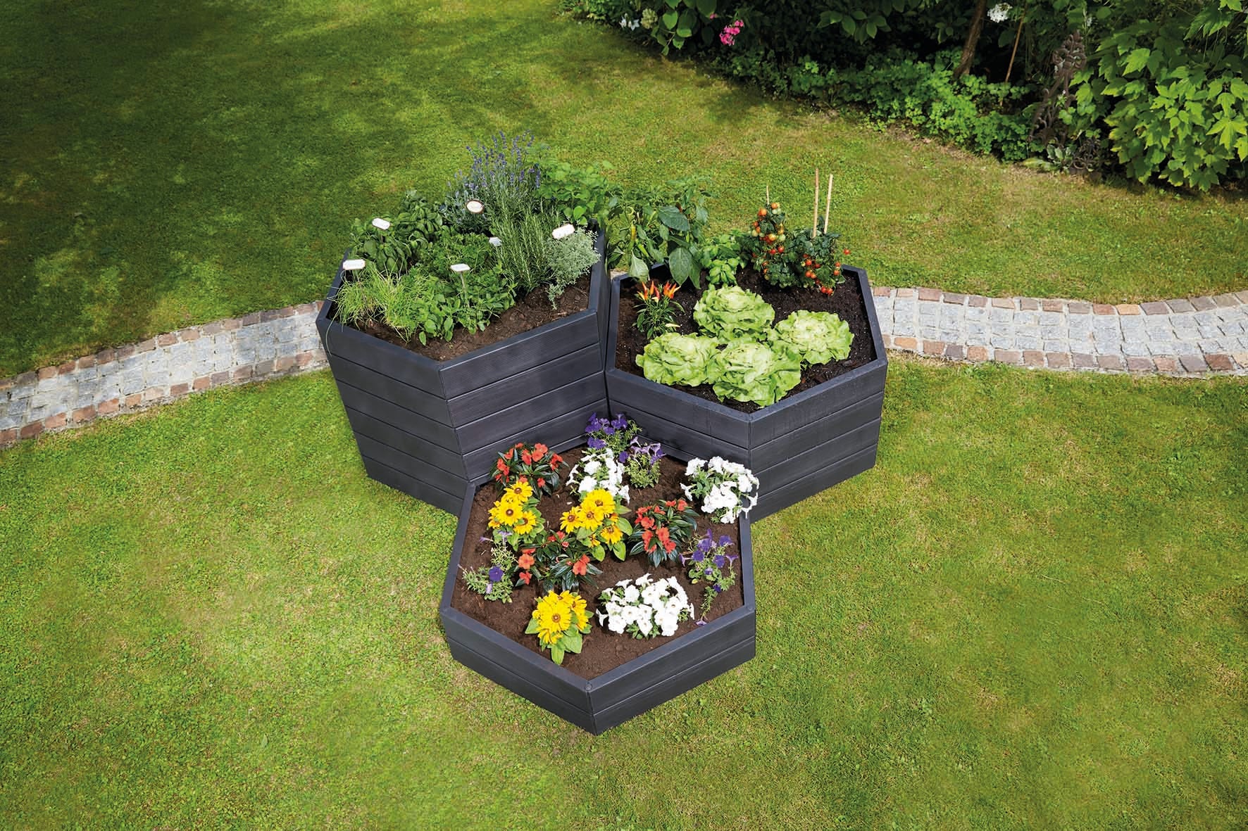 Raised Garden Bed Hexagonal three tier in Colorado