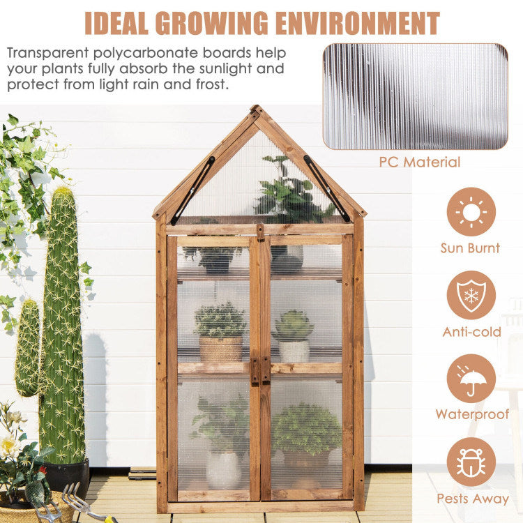 Small Outdoor Mini Wooden Greenhouse