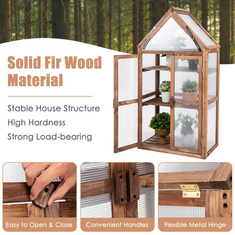 Small Outdoor Mini Wooden Greenhouse