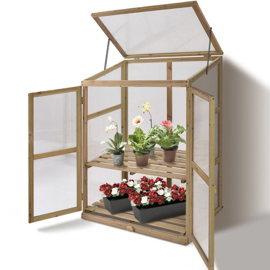 Small Wood Greenhouse