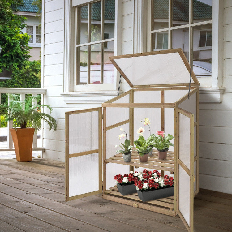 Small Wood Greenhouse