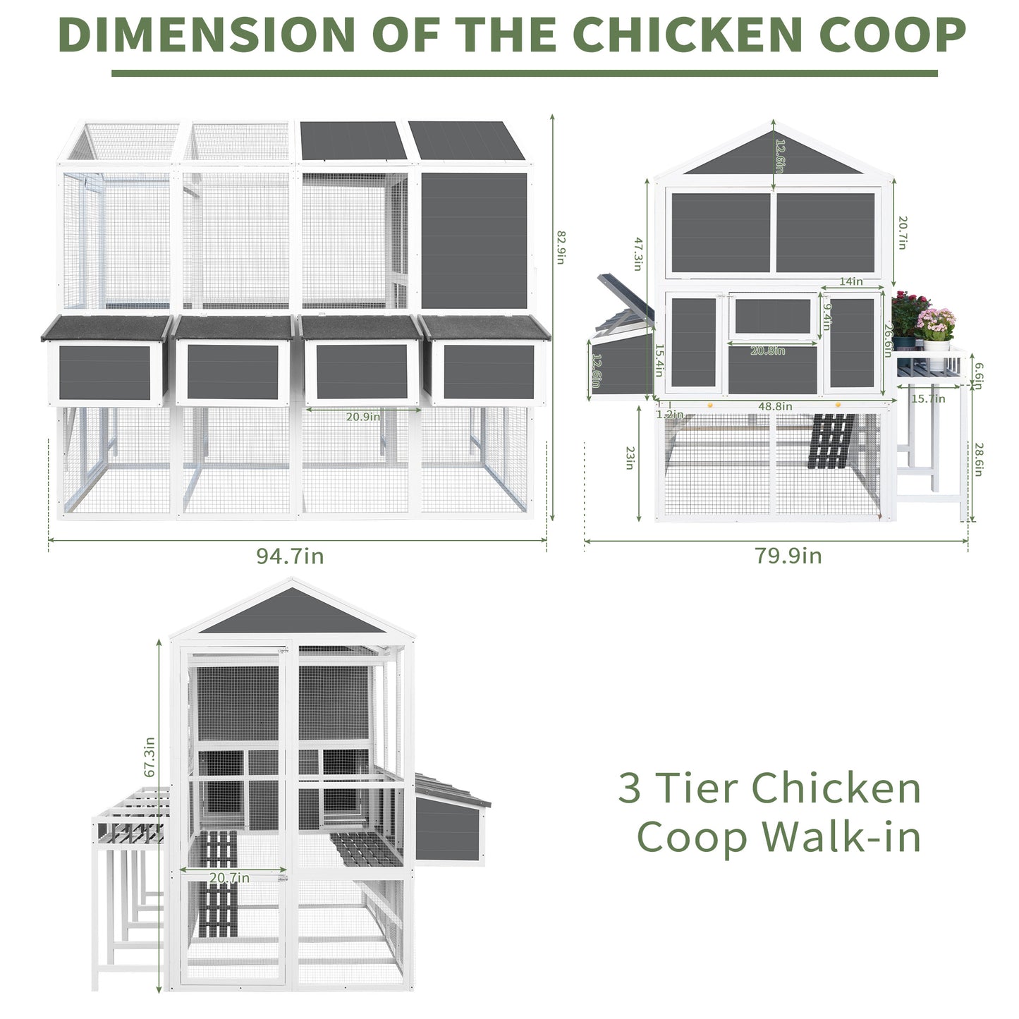 Chicken Coop 10 Chickens with Chicken Run