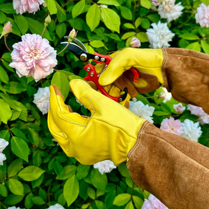 Rose Gardening Gloves
