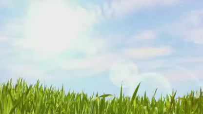 Efficient Composting - AeroPlus Compost Bin