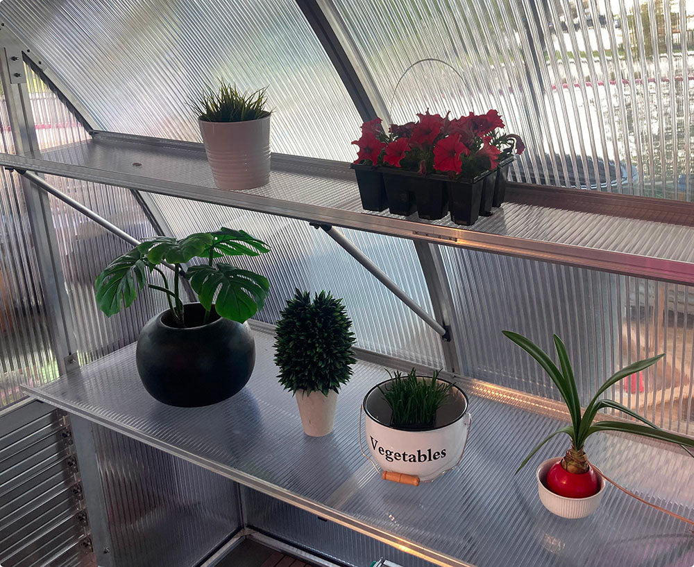 Optional Shelving for Large Polycarbonate Greenhouse